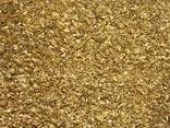 Bard Grain – 100 % kukurica (DDGS) - photo 2