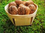 Cestini per la frutta