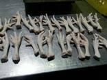 Chicken Feet and chicken paws and whole halal chicken at the best prices with prompt shipp - фото 2