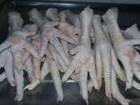Chicken Feet and chicken paws and whole halal chicken at the best prices with prompt shipp - фото 3