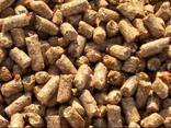 Distiller's dried grains (draff) - photo 1