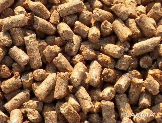 Distiller's dried grains (draff)