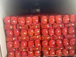 Fruits and vegetables Serbia