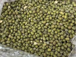 Green mung beans