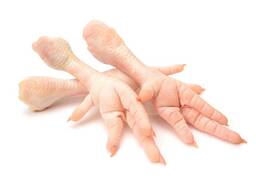Halal Frozen Chicken Feet