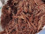 High Quality Mill-Berry Copper Wire Scrap 99.99% Purity Now Available at Competitive Price - фото 3