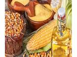 Hot Selling Price Refined Corn Oil/Crude Corn Oil/Corn Oil Cooking in Bulk - фото 1