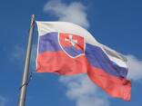Консультация - получение словацкого ВНЖ или визы - фото 1