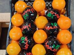 Мандарин NOVA