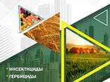 Пестициды на экспорт