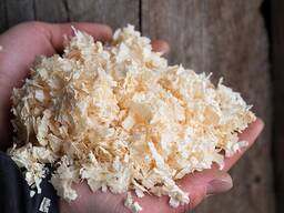 Predaj podstielky pre kone a zvieratá