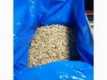 Продам орех грецкий оптом Nuts 1/2, 1/4, Mix. - фото 1