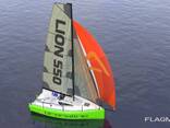 Sail boat Lion 550 "Adrenaline" - фото 1