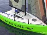 Sail boat Lion 550 "Adrenaline" - фото 3
