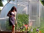 Sale of greenhouses from the manufacturer in the Republic of Belarus - photo 1