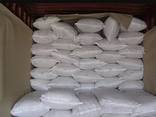 Sugar - photo 1